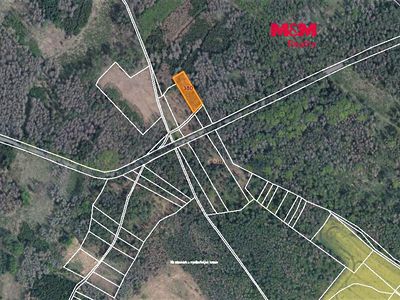 Prodej lesa 1396 m²