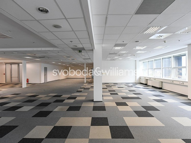 Gewerbefläche zur Miete, 810 m² (8 von 12)