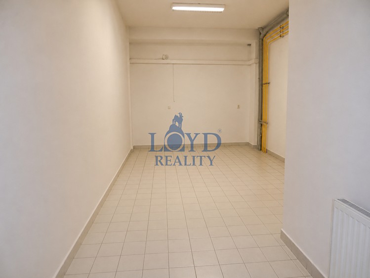Pronájem komerčního prostoru, 274 m² (12 z 22)