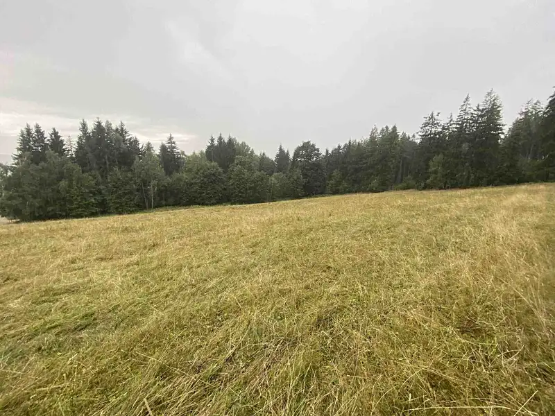 Prodej pozemku 1842 m², Králíky – náhled fotky 1