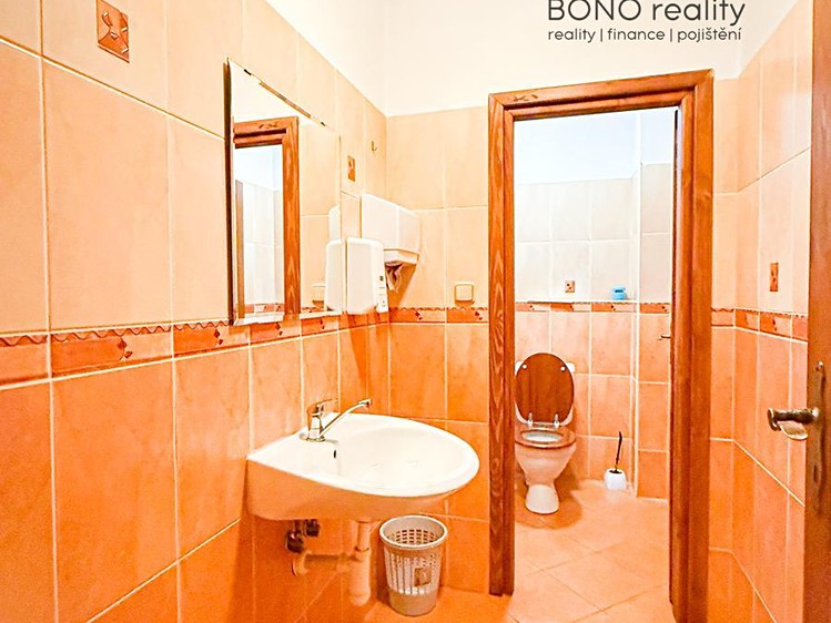 Prodej komerčního prostoru, 216 m² (19 z 33)