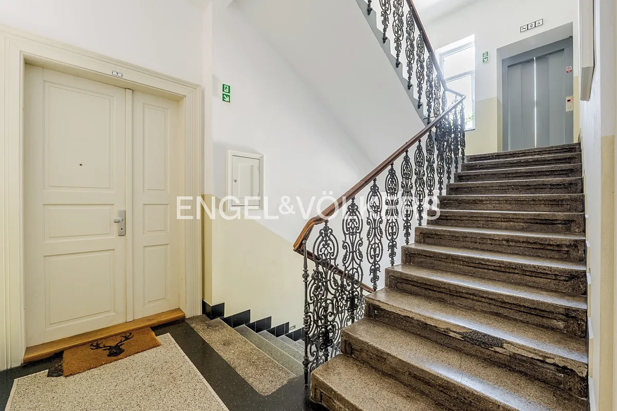Fotka 11 z 11