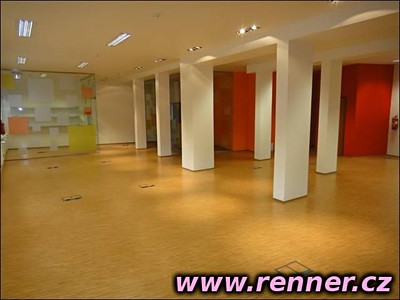 Комерційне приміщення в оренду, 348 м² (2 з 22)