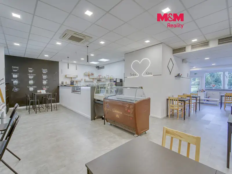 Pronájem restaurace 100 m², Třemošná – náhled fotky 1