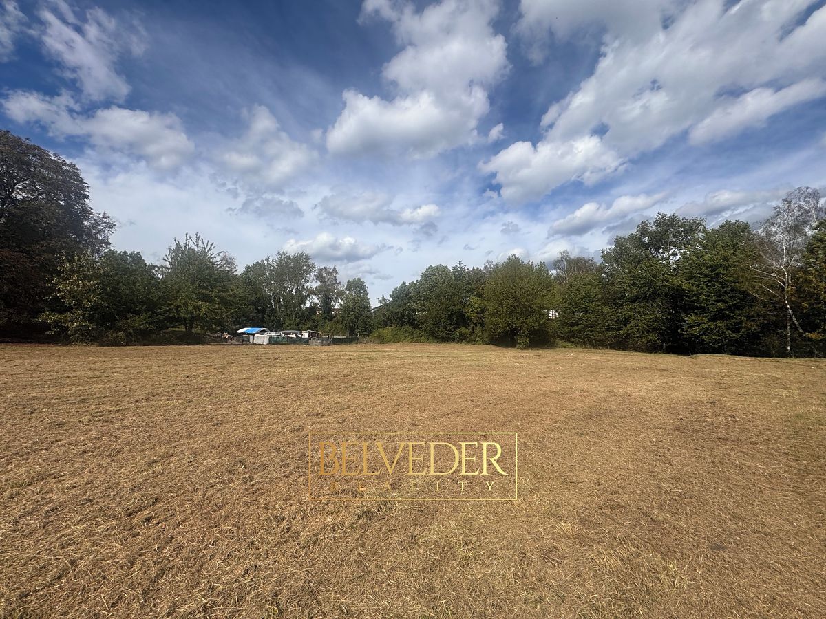 Prodej stavebního pozemku 3032 m² – fotografie 3