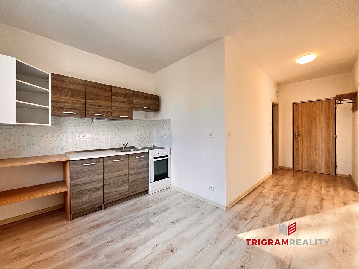 Pronájem bytu 1+1 40 m²