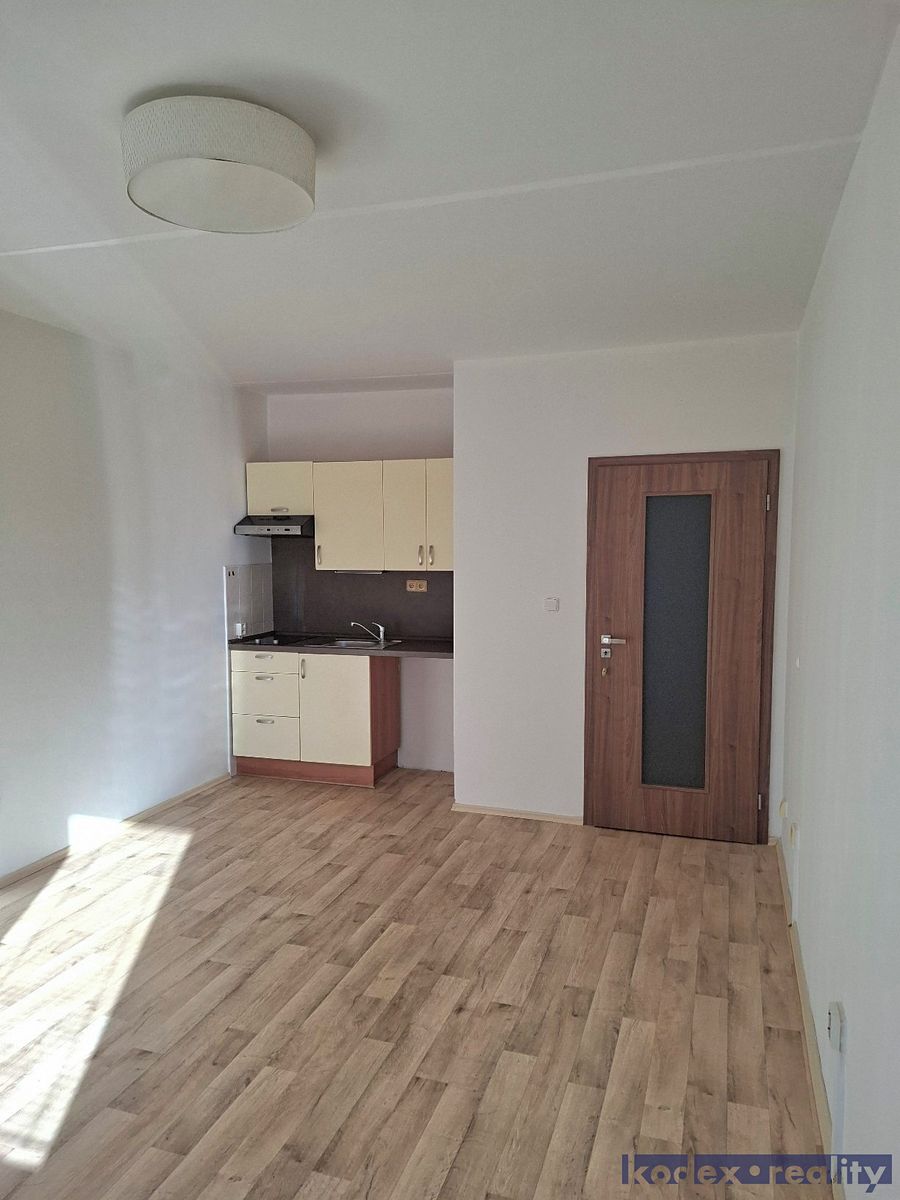 Pronájem bytu 1+kk 35 m²