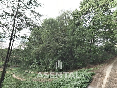 Grundstück zum Kauf, 2.442 m² (2 von 4)