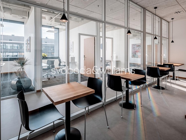 Pronájem komerčního prostoru, 66 m² (9 z 24)