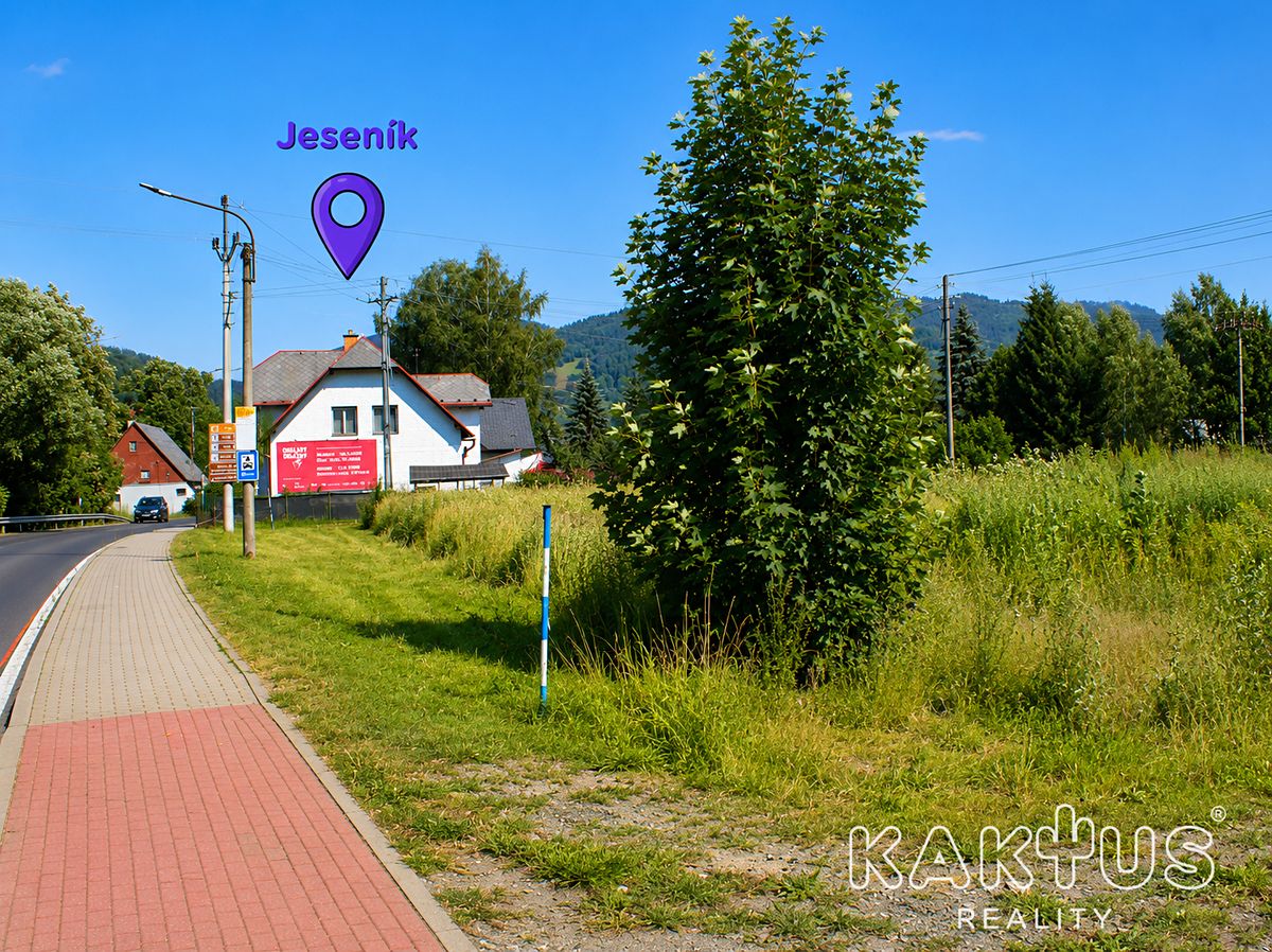 Prodej stavebního pozemku 4487 m² – fotografie 3
