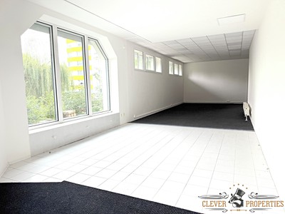 Pronájem komerčního prostoru, 102 m² (3 z 7)