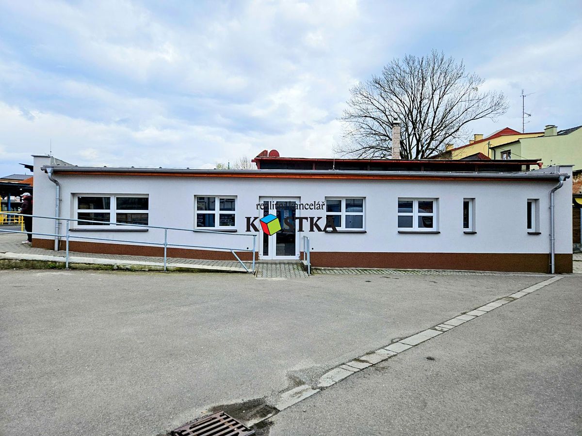Prodej obchodního prostoru 115 m² – fotografie 3