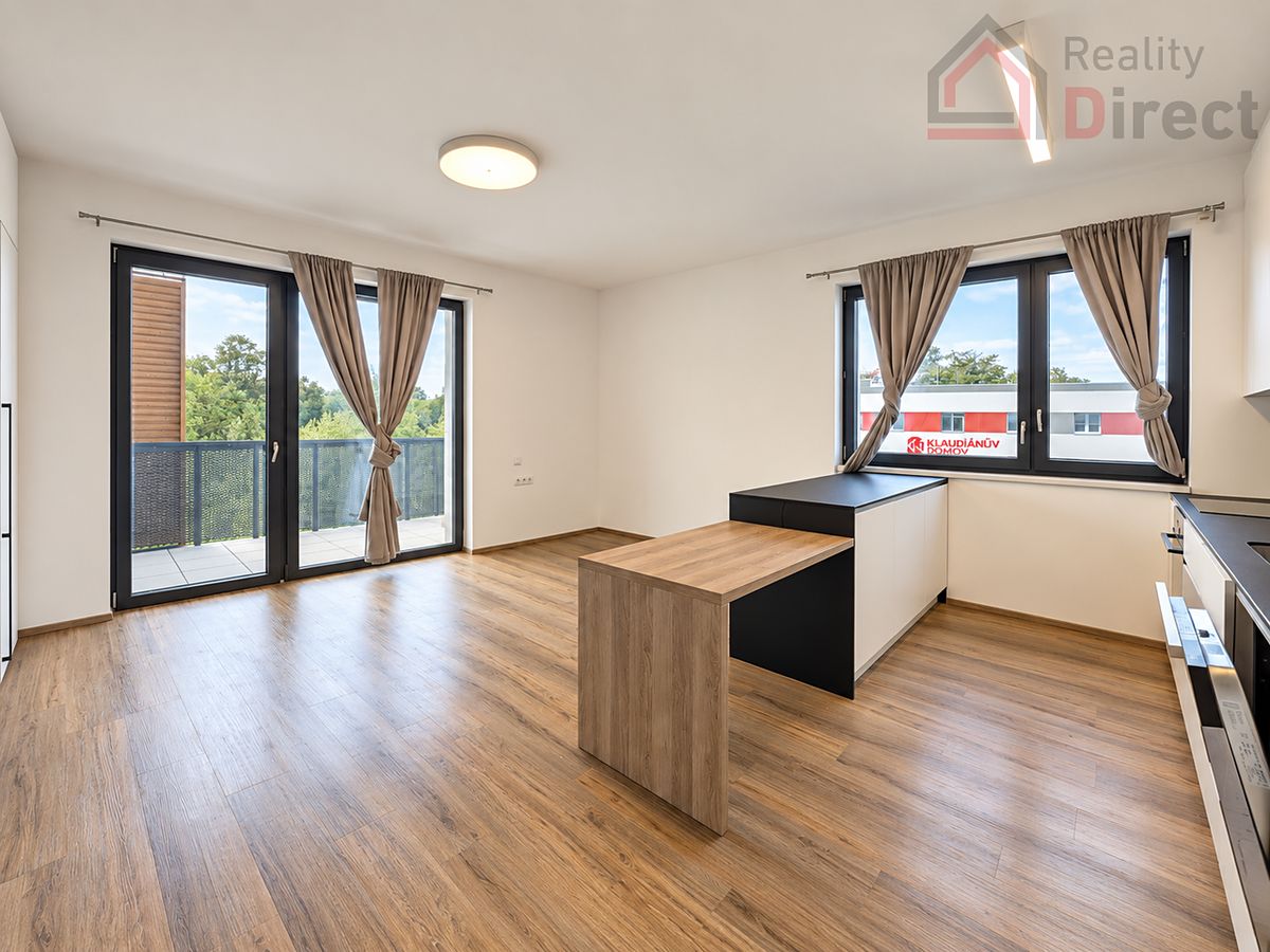 Pronájem bytu 1+kk 42 m² – fotografie 4