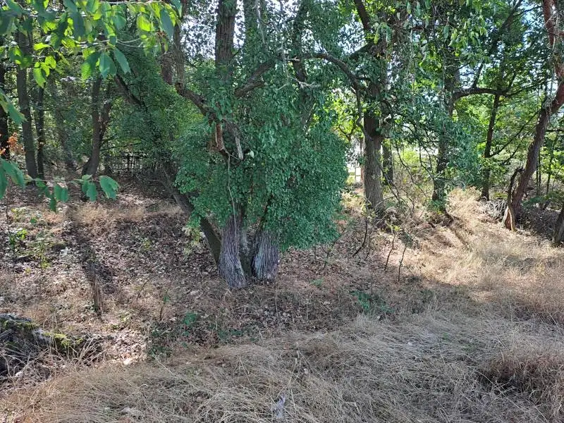 Prodej pozemku 697 m², Holýšov – náhled fotky 2