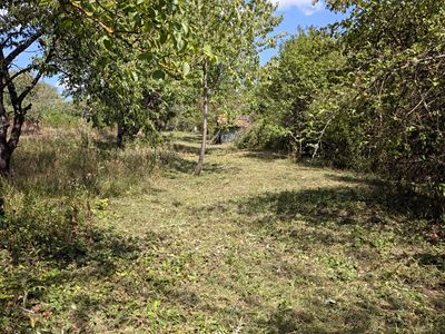 Prodej zahrady 463 m²