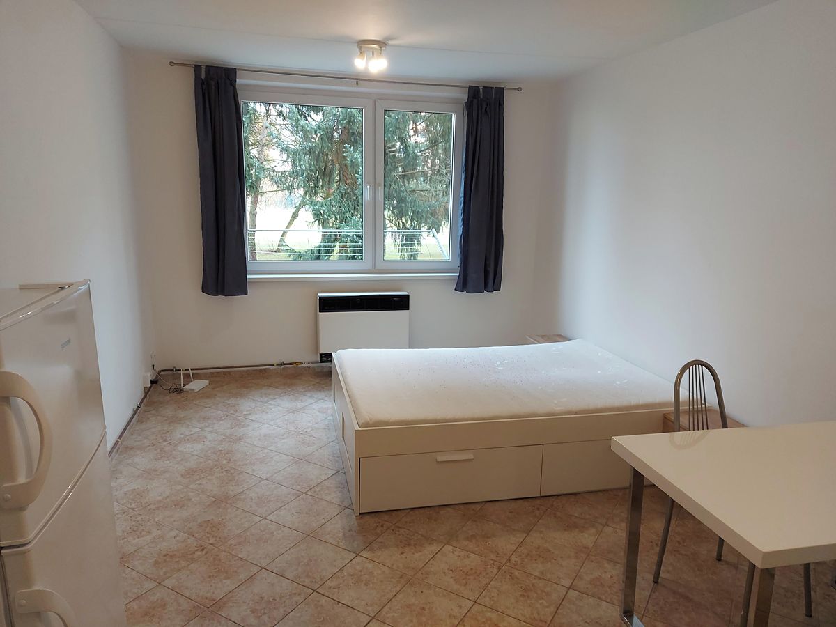 Pronájem bytu 1+kk 30 m² – fotografie 5