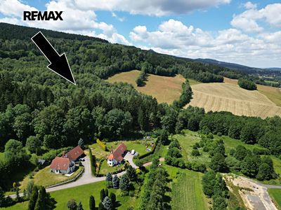 Prodej lesa 4606 m²