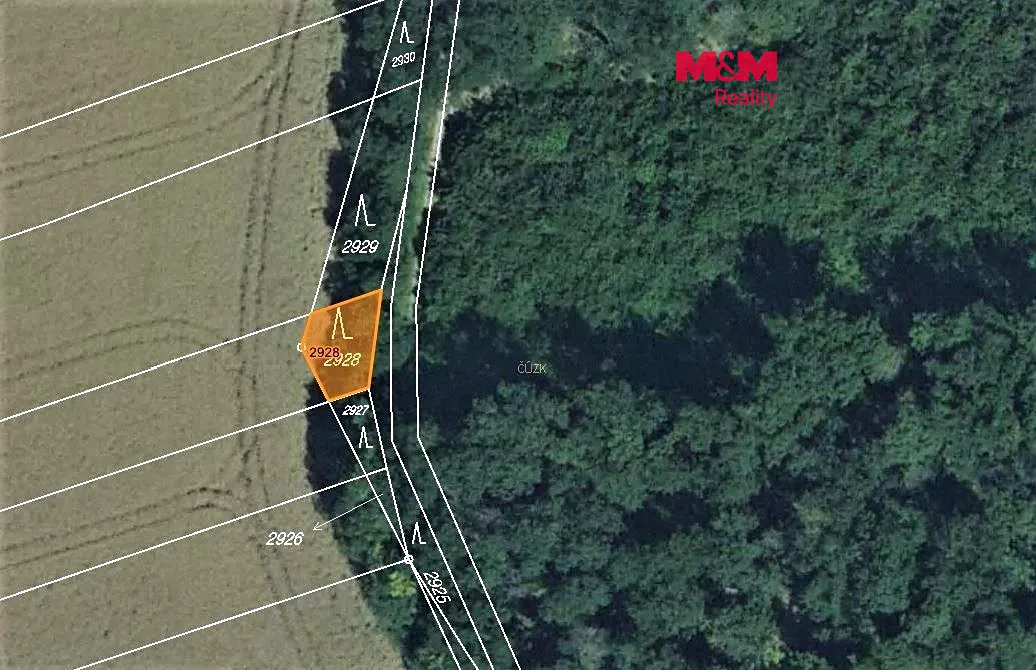 Prodej lesa 102 m²