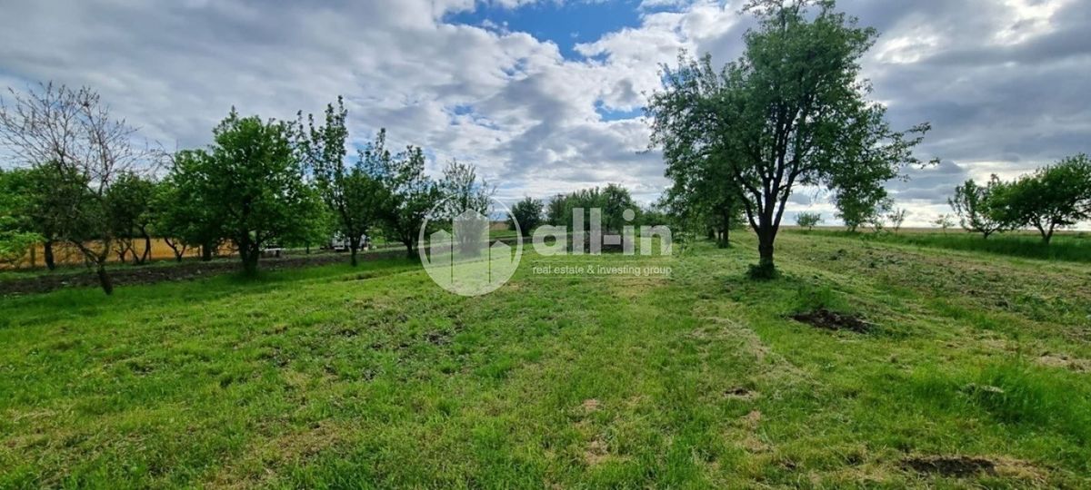 Prodej sadu, vinice 1062 m² – fotografie 2