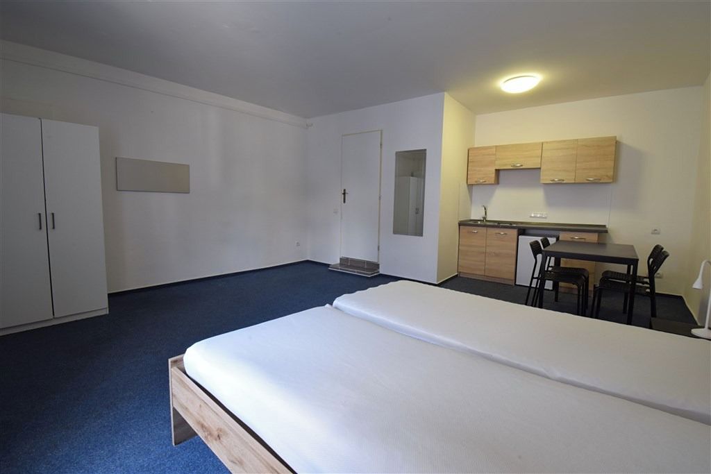 Pronájem bytu 1+kk 30 m² – fotografie 4
