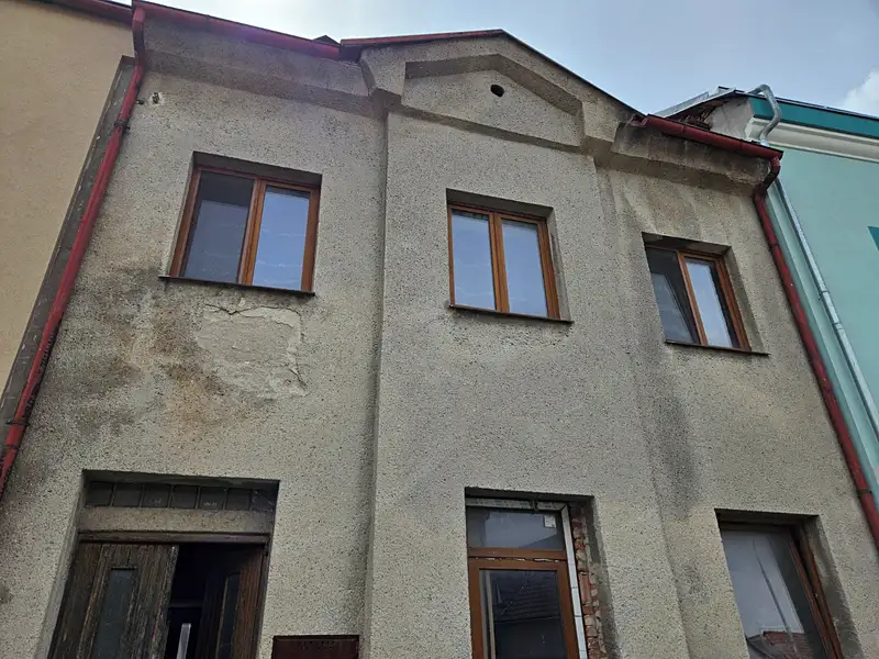 Prodej rodinného domu 270 m², pozemek 162 m², Seč – náhled fotky 3