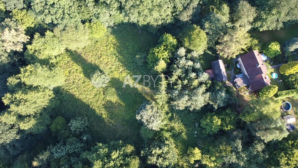 Prodej rodinného domu 180 m², pozemek 9500 m² – fotografie 4