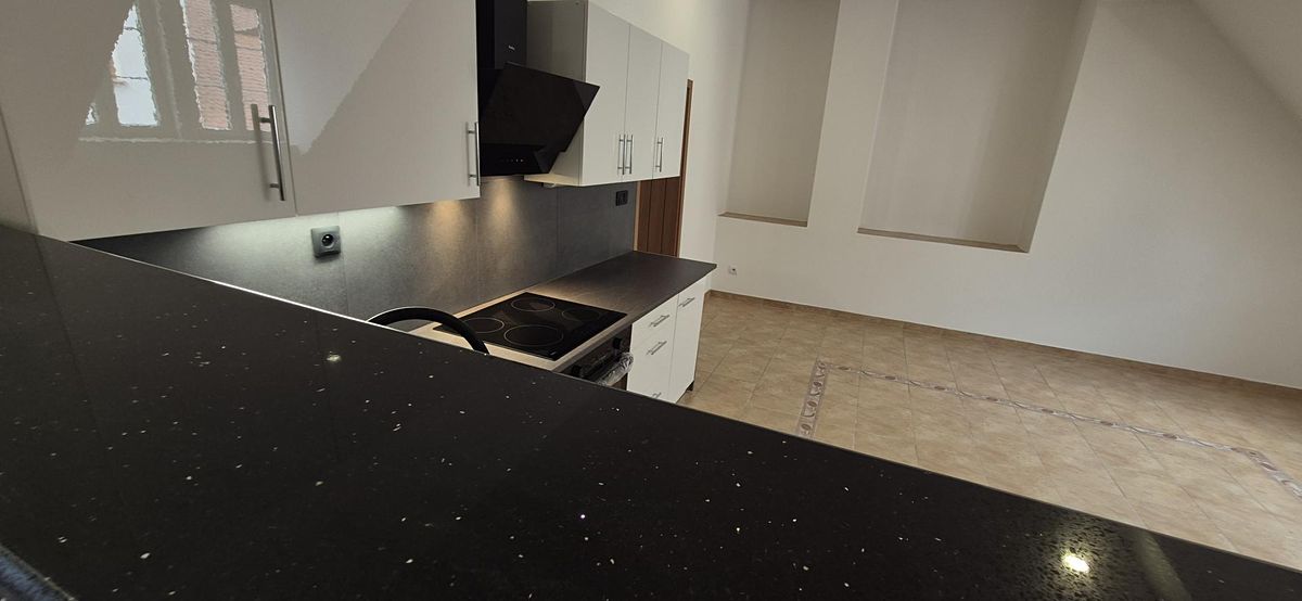 Pronájem bytu atypický 147 m² – fotografie 4
