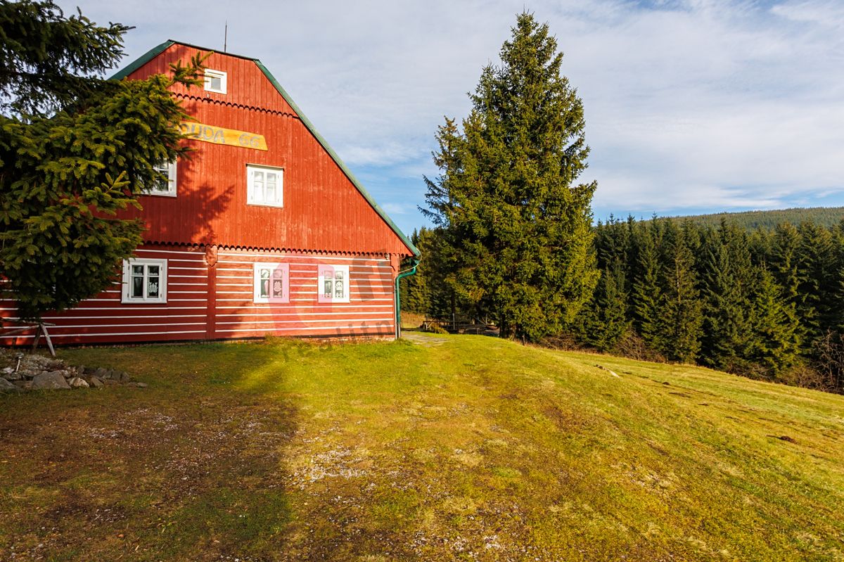 Prodej rodinného domu 233 m², pozemek 2363 m² – fotografie 4