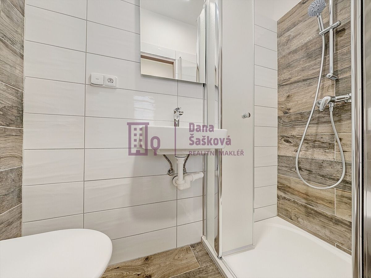 Pronájem bytu 1+kk 16 m² – fotografie 3