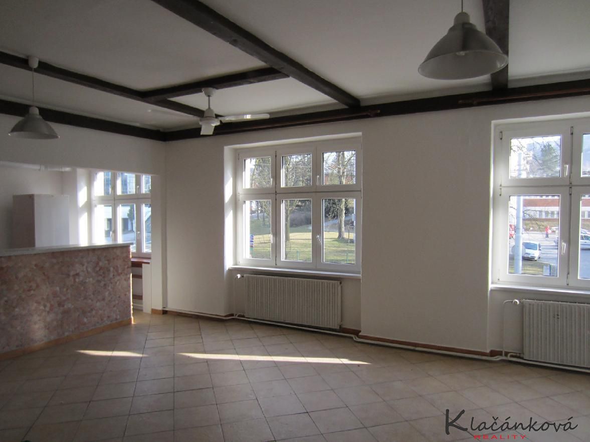 Pronájem bytu 1+kk 45 m² – fotografie 4