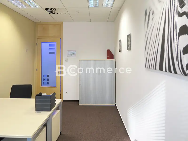 Pronájem kanceláře 36 m², Brno – náhled fotky 3