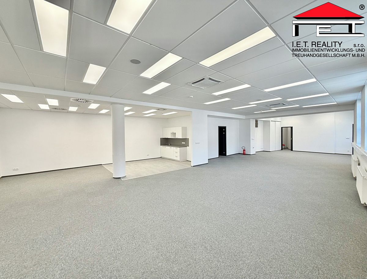 Pronájem kanceláře 153 m² – fotografie 4