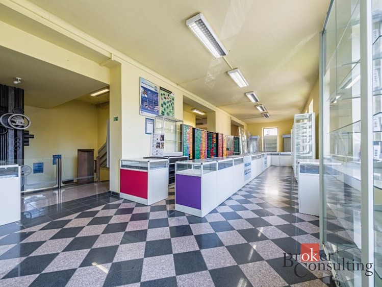 Gewerbefläche zum Kauf, 246 m² (12 von 15)