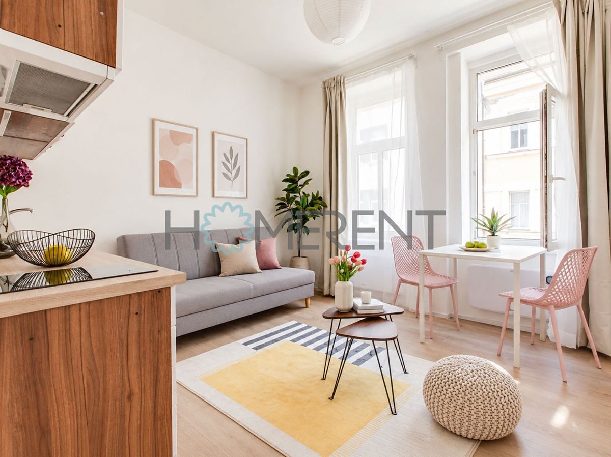 Pronájem bytu 1+kk 19 m²