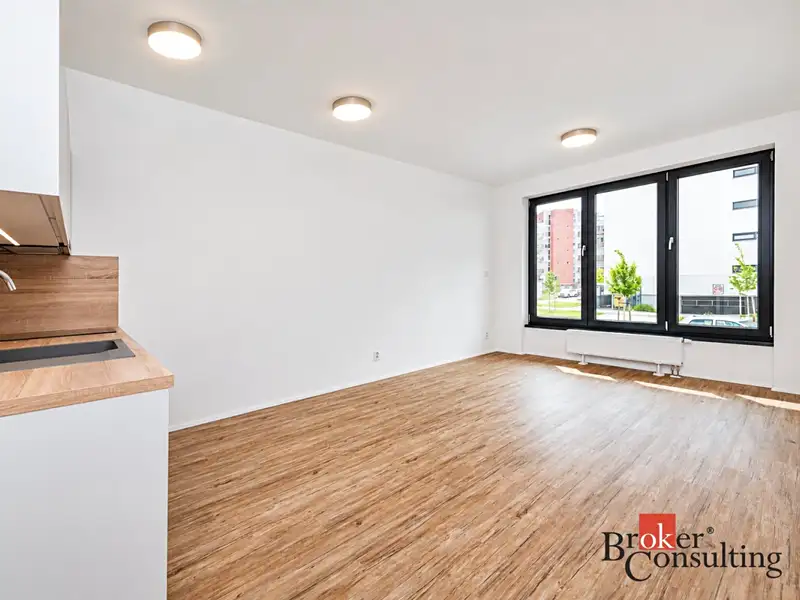 Pronájem bytu 1+kk 30 m², Plzeň – náhled fotky 2