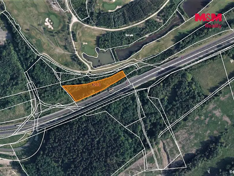 Prodej lesa 5543 m², Dolní Rychnov – náhled fotky 3