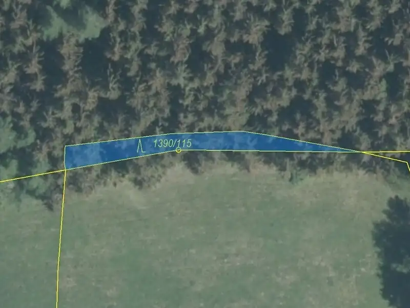 Dražba lesa 200 m², Zděchov – náhled fotky 2