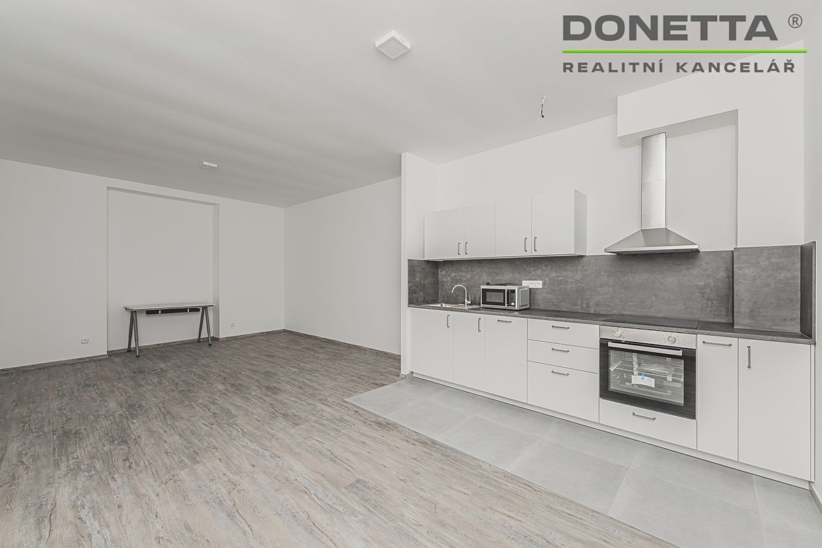 Pronájem bytu 1+kk 41 m² – fotografie 3