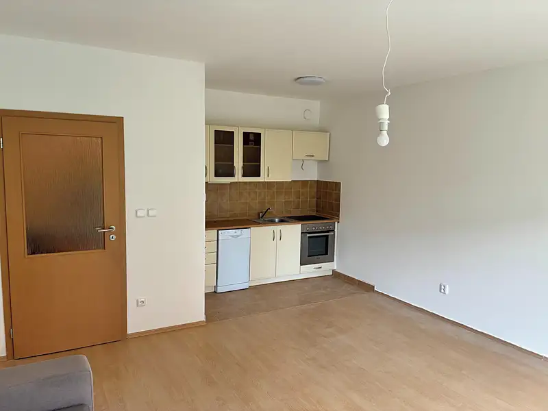 Pronájem bytu 1+kk 43 m², Liberec – náhled fotky 2