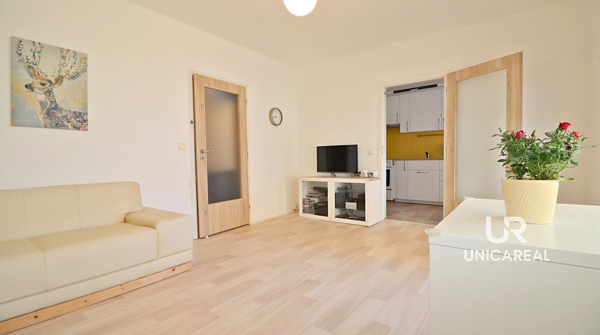Prodej bytu 1+1 42 m²