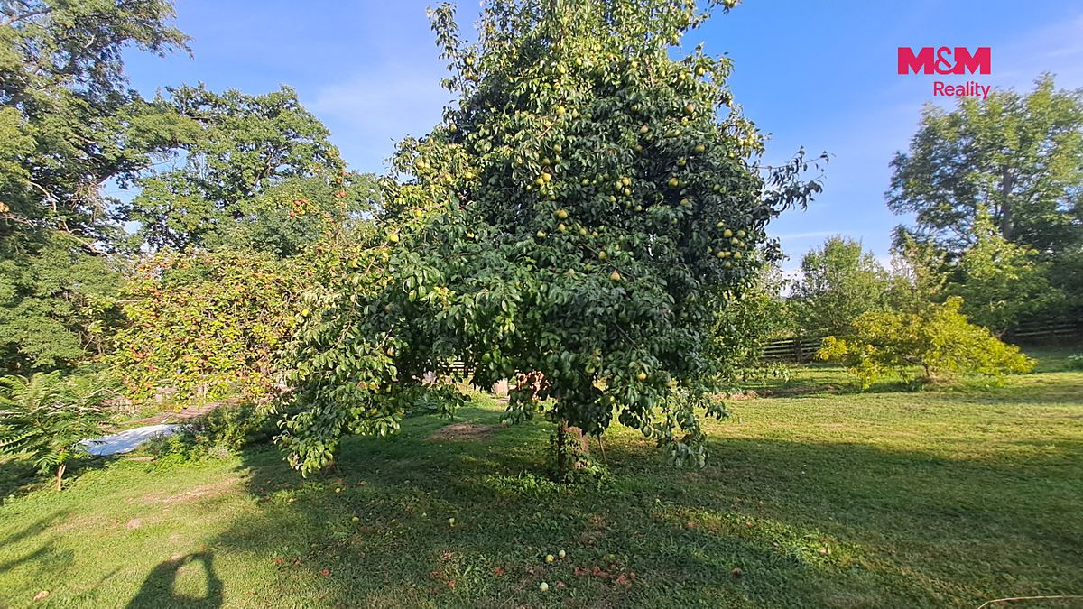 Prodej stavebního pozemku 791 m² – fotografie 3