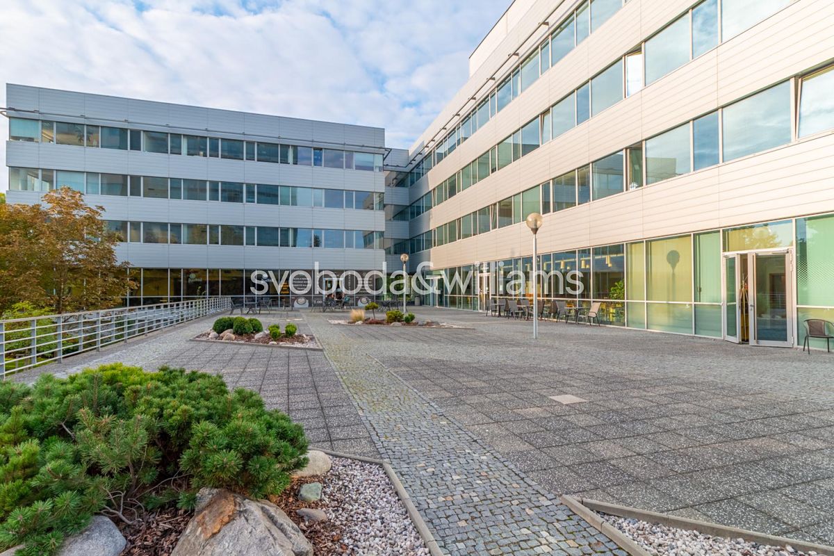 Pronájem obchodního prostoru 291 m²