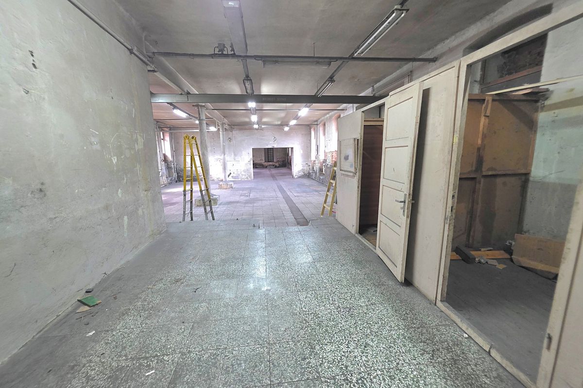 Pronájem výrobní haly, prostoru 3768 m² – fotografie 4