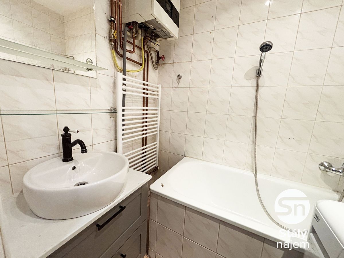 Pronájem bytu 1+1 48 m² – fotografie 3
