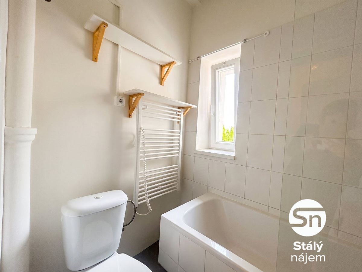 Pronájem bytu 1+kk 29 m² – fotografie 4