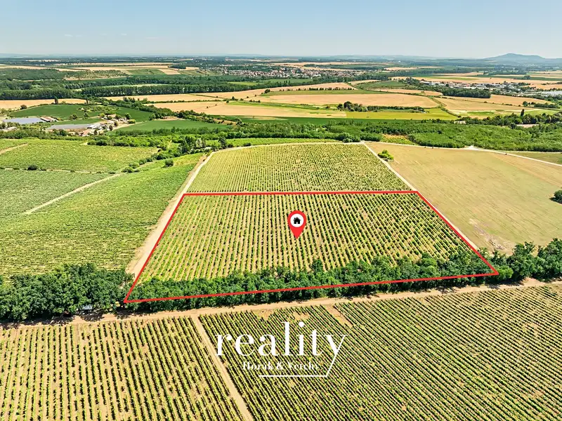 Prodej sadu, vinice 33963 m², Šanov – náhled fotky 2