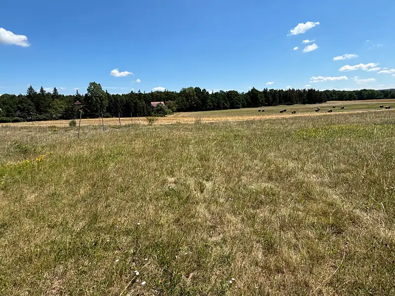 Prodej pozemku 4215 m², Dobříš – náhled fotky 3