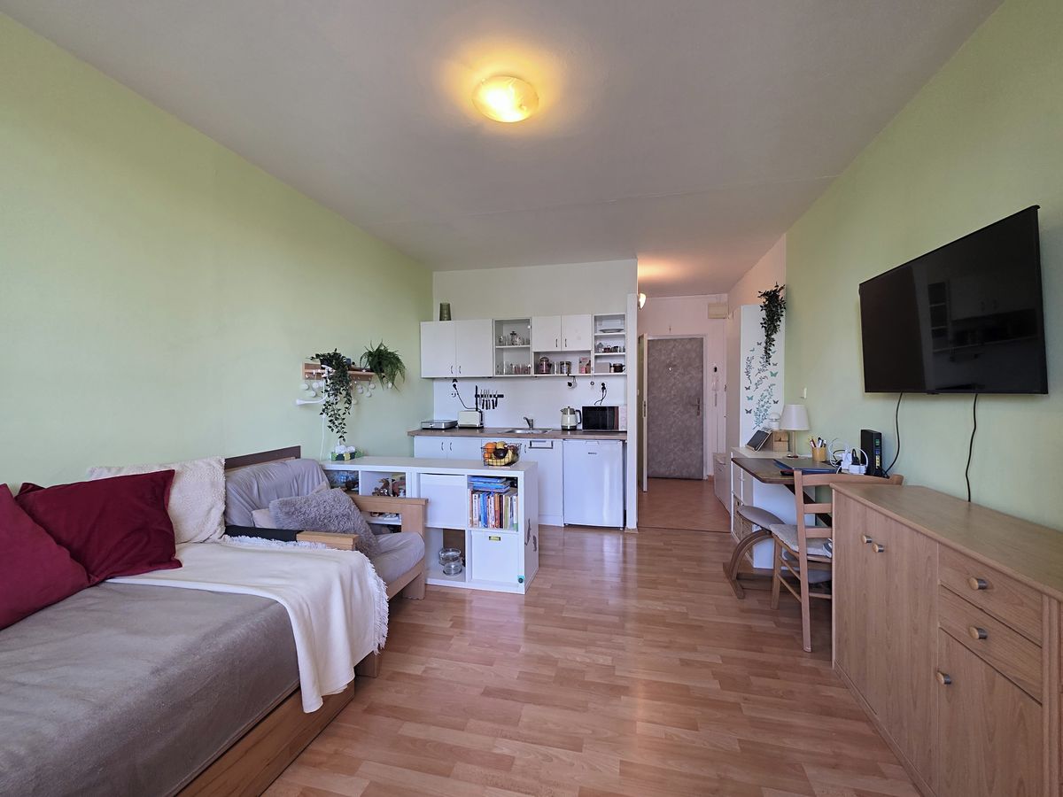 Pronájem bytu 1+kk 26 m² – fotografie 5