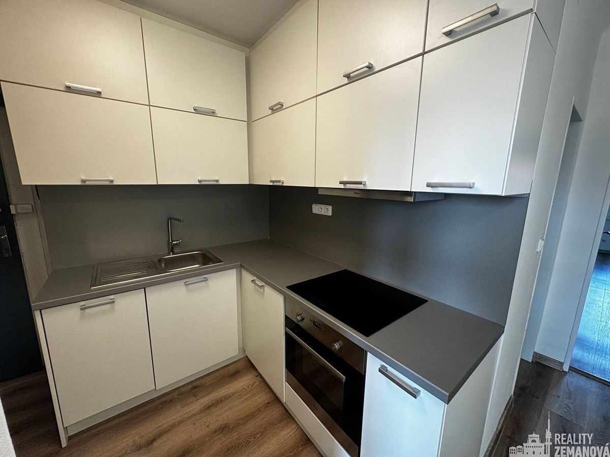Pronájem bytu 1+1 40 m²