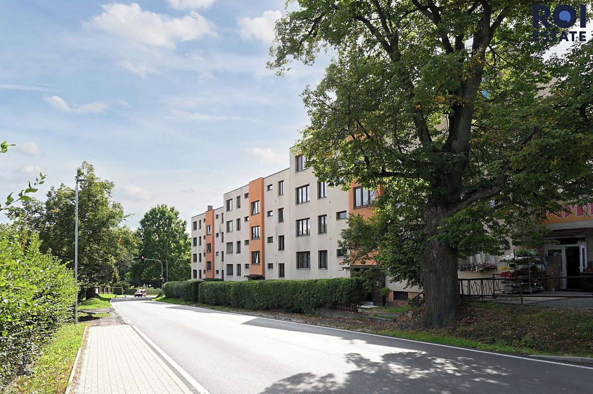 Pronájem bytu 3+1 72 m² – fotografie 3